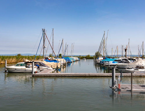 Sedimentsentfernung Hafeneinfahrt Hafen am Rheinspitz – Stand 09.04.2025