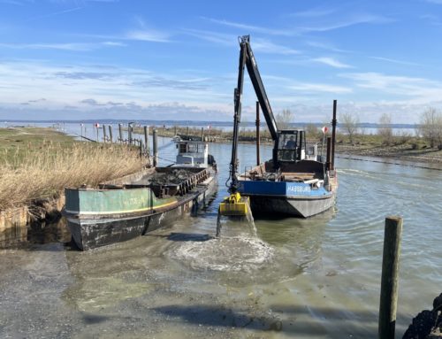Sedimentsentfernung Hafeneinfahrt Hafen am Rheinspitz – Stand 16.04.2025
