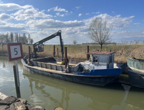 Sedimentsentfernung Hafeneinfahrt Hafen am Rheinspitz – Stand 08.04.2025