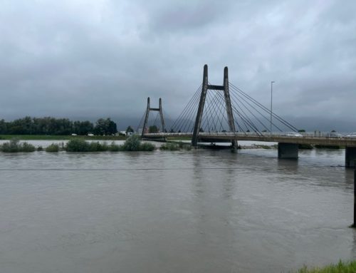 Hochwassersituation am Rhein entspannt sich zunehmend – laufende Beobachtungen durch Rheinbauleitungen bleiben aufrecht