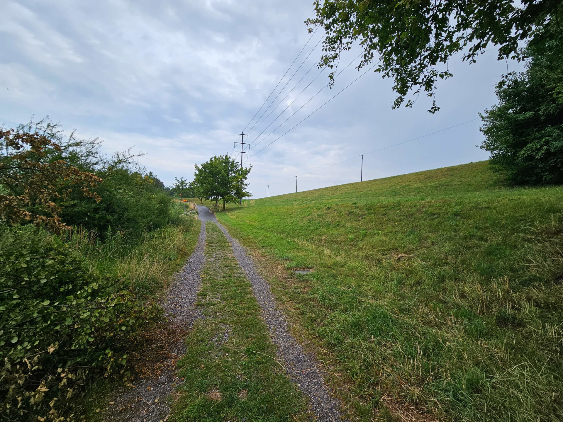 Alpenrhein, km 78+890 bis 79+372, Foto 4