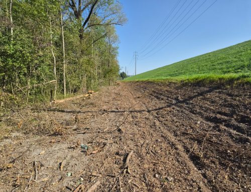 Interventionspiste Abschnitt Ceres km 52+ 087 bis 52+ 803, Ausführung Herbst 2026